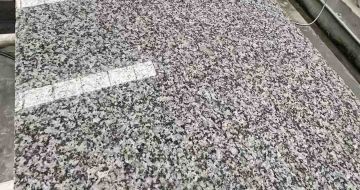 昭通 芙蓉白光面