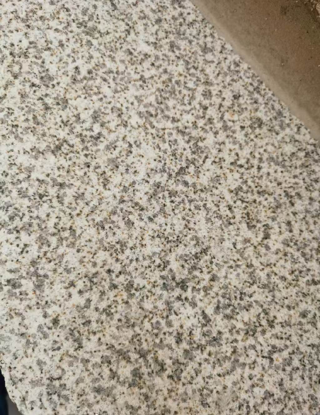 昭通 黄金麻中黄光面