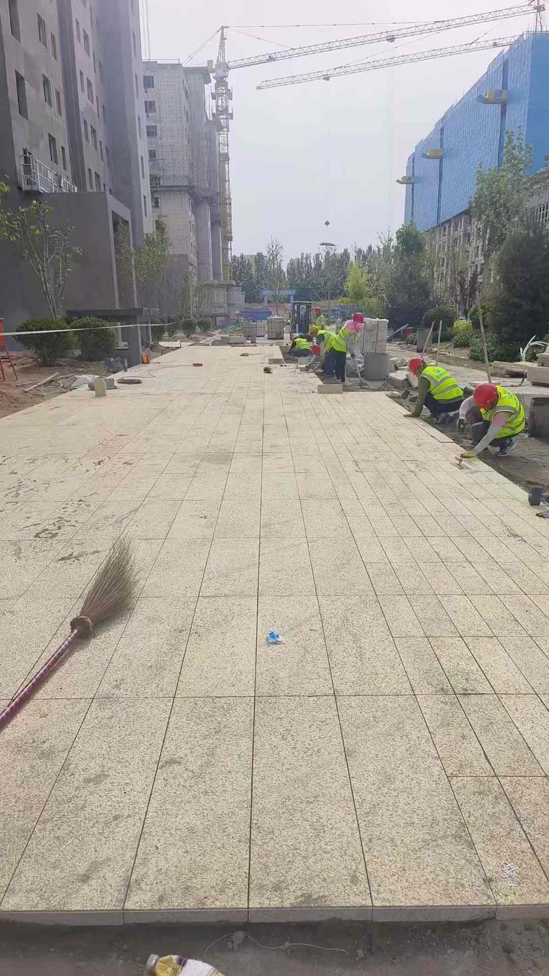 昭通黄金麻荔枝面地铺案例